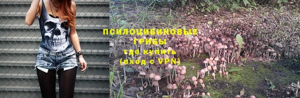 дмт Алзамай
