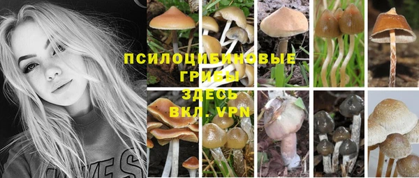 дмт Алзамай
