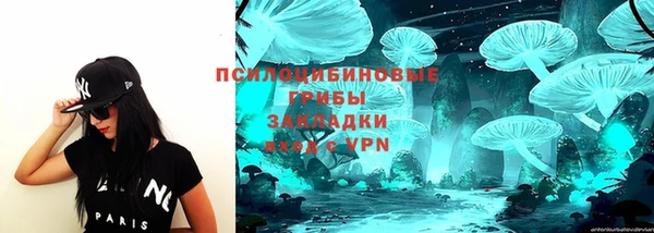 не бодяженный Алексин