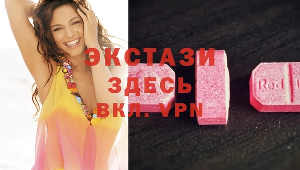 мдпв Гусев