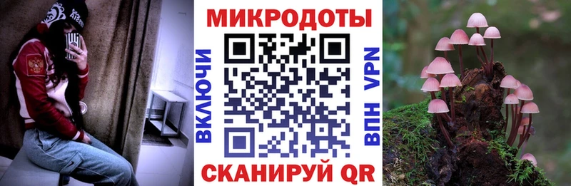Галлюциногенные грибы MAGIC MUSHROOMS  цена наркотик  площадка клад  Рубцовск 