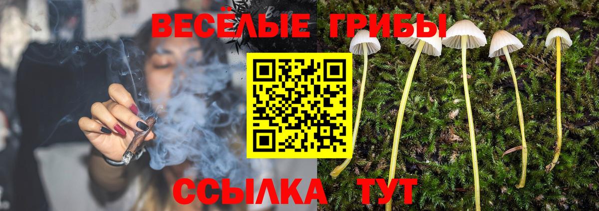 Псилоцибиновые грибы прущие грибы Рубцовск