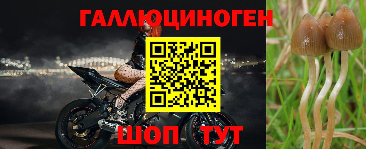 Псилоцибиновые грибы GOLDEN TEACHER  Вход с VPN  Рубцовск  Галлюциногенные грибы мицелий 